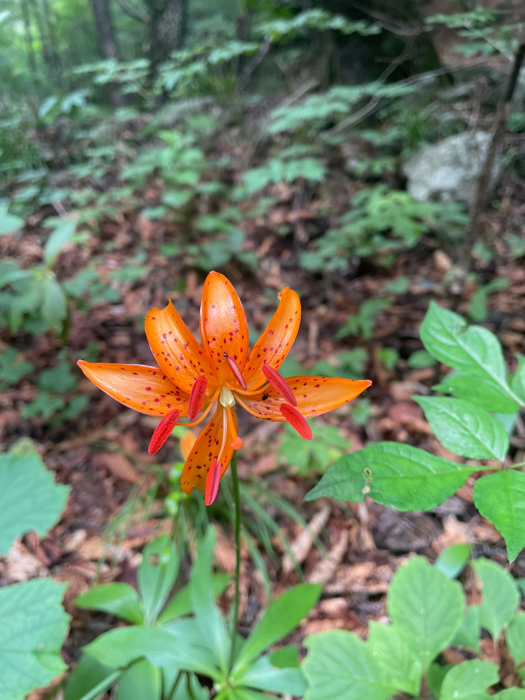 c20eaefb8632af5172dbbf5414ec0bfe_1659406578_3212.jpg c20eaefb8632af5172dbbf5414ec0bfe_1659406578_3212.jpg